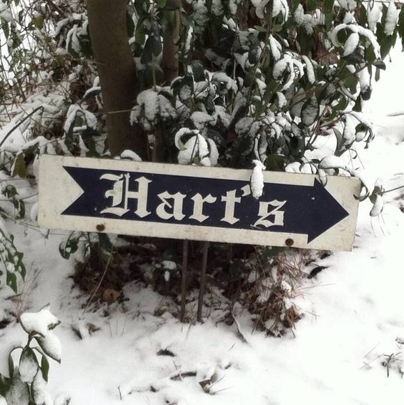 mindyhartiv